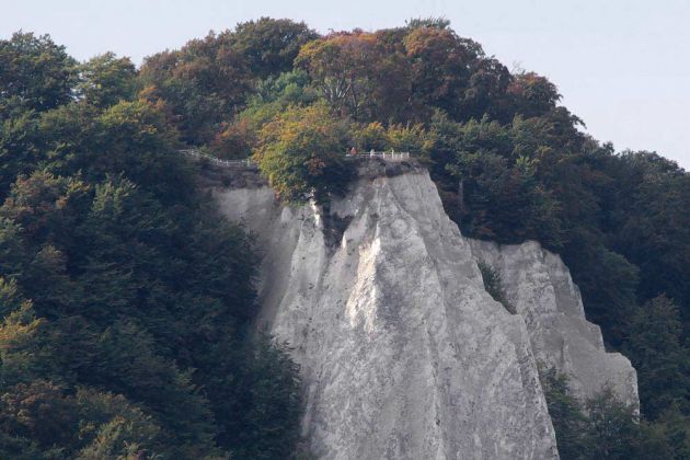 Die Kreideküste auf Rügen, grosse Stubbenkammer - der Kreidefelsen Königsstuhl Die Kreideküste auf Rügen, grosse Stubbenkammer - der Kreidefelsen Königsstuhl