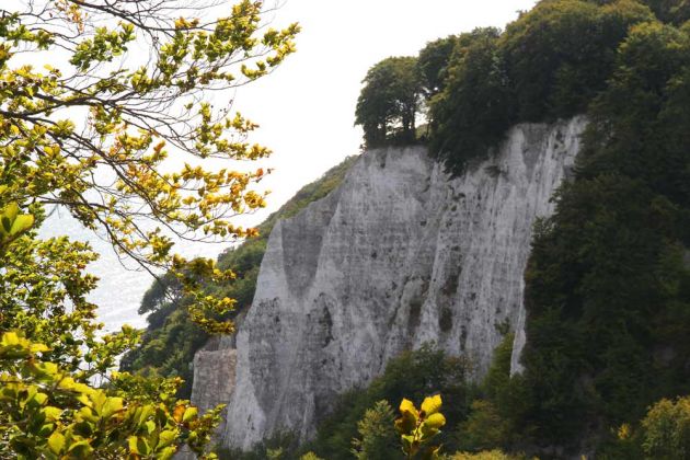 Die Kreideküste auf Rügen - der Victoriablick Die Kreideküste auf Rügen - der Victoriablick