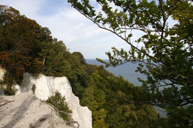 Die Kreideküste auf Rügen - Kreidefelsen am Königsstuhl Die Kreideküste auf Rügen - Kreidefelsen am Königsstuhl