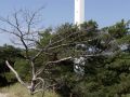 Dänemark, Ostseeinsel Bornholm - der Leuchtturm Dueodde Fyr des Baujahres 1962, mit einer Höhe von 48 Metern ist er der höchste Leuchtturm Bornholms