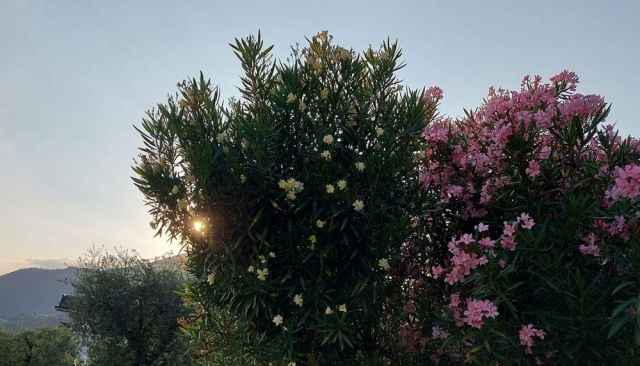 Toscolano-Maderno an der Riviera Bresciana des Gardasees - Abendstimmung in Maderno Toscolano-Maderno an der Riviera Bresciana des Gardasees - Abendstimmung in Maderno