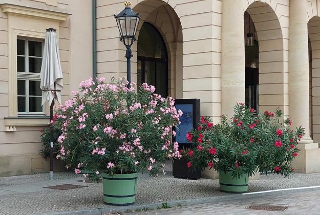 Landeshauptstadt Potsdam - der Eingang des klassizistische barocken Barberini-Museums am Alten Markt Landeshauptstadt Potsdam - der Eingang des klassizistische barocken Barberini-Museums am Alten Markt