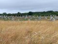 Carnac am Golf von Morbihan im S&uuml;den der Bretagne - Steinreihen, stehende Menhire und Dolmen