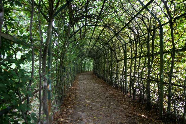 Rheinsberg in Brandenburg - das Heckentheater im Schlossgarten, der Heckengang Rheinsberg in Brandenburg - das Heckentheater im Schlossgarten, der Heckengang