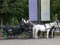 Rheinsberg in Brandenburg - nostalgische Kutschen warten am Markt auf neugierige Touristen