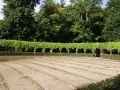 Rheinsberg in Brandenburg - das Heckentheater im Schlossgarten, ein barockes Naturtheater mit Kulissen aus lebenden Buchenhecken