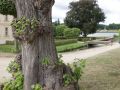 &nbsp;Rheinsberg in Brandenburg, die Schlossinsel - der Durchgang zwischen Schloss und Theater