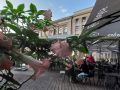 Die Altstadt von Riga - die schöne Terrasse des Olde Riga Restaurants am Domplatz