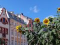 Das romantische Flair der Altstadt von Riga - historische Fassaden an der Tirguno Iela