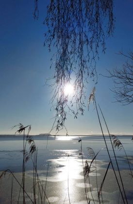 Die Januarsonne und ihre Spiegelungen auf dem Steinhuder Meer - Norduferweg nahe der Neuen Moorhütte Die Januarsonne und ihre Spiegelungen auf dem Steinhuder Meer - Norduferweg nahe der Neuen Moorhütte